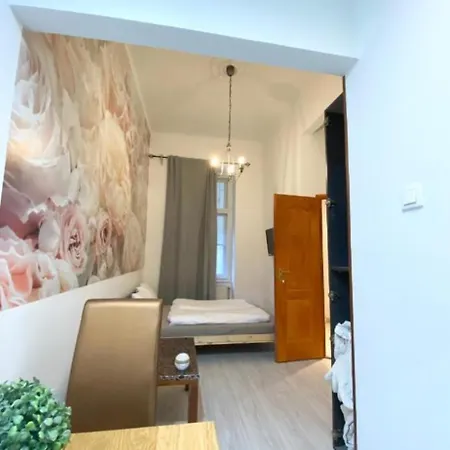 Homestay Spring Roses Downtown Boutique 2