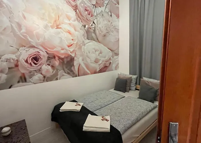 Spring Roses Downtown Boutique 2 On The Famous Váci Fashion Street Free Coffee, Tee Budapest