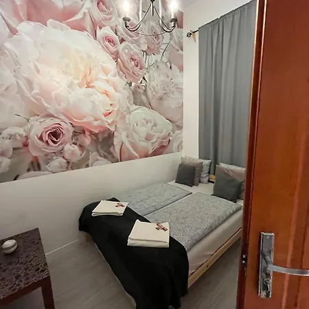 Spring Roses Downtown Boutique 2 On The Famous Vaci Fashion Street Free Coffee, Tee Budapest