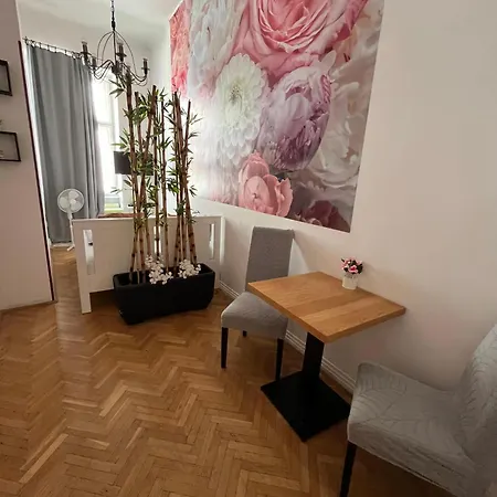 Spring Roses Downtown Boutique 2 On The Famous Vaci Fashion Street Free Coffee, Tee * Budapest